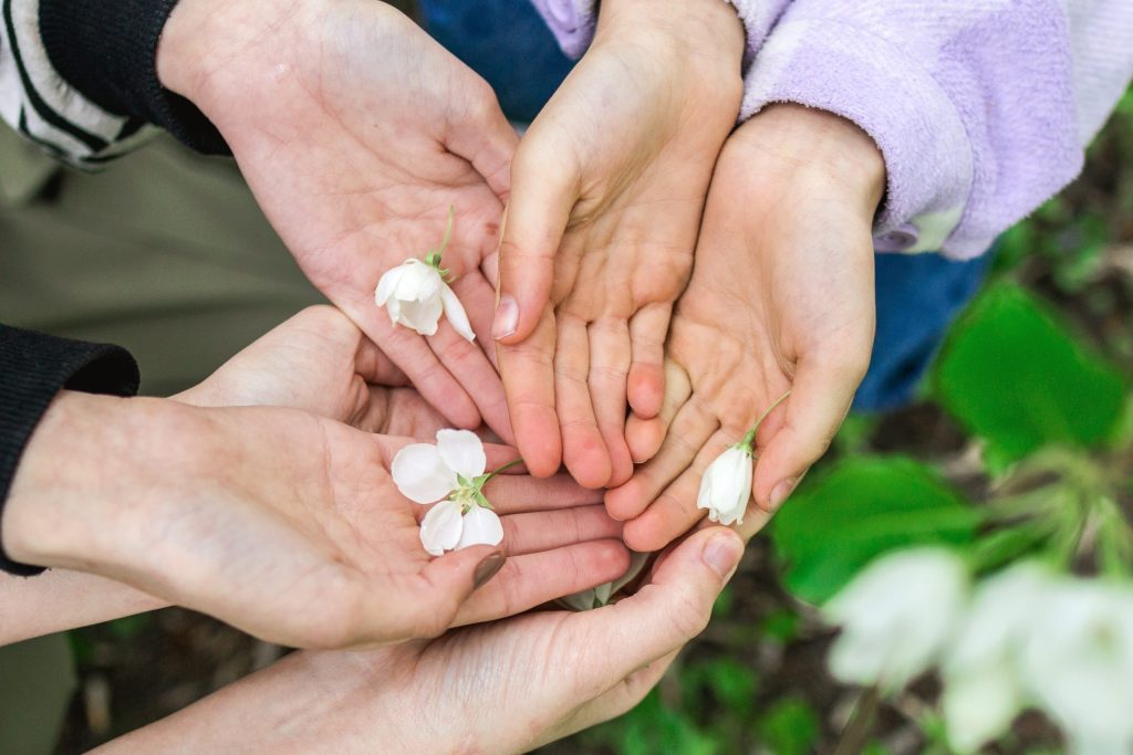 Family Psychotherapy